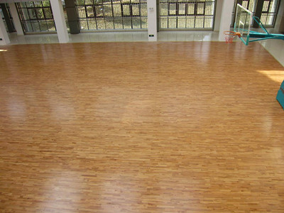 ����w���\(y��n)��(d��ng)ľ�ذ�İl(f��)չʷ-����(g��)��ͬ�l(f��)չ�A��