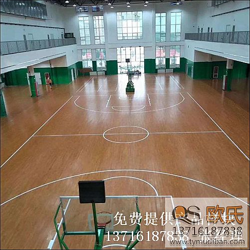 ɽ�|�ʝ��ж���һ�л@����w���^�\�ӌ�ľ�ذ��Ŀ