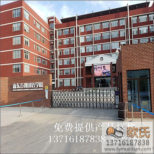 ������ƽ�|������Z�W(xu��)У�w���^�@���\(y��n)��(d��ng)��(sh��)ľ�ذ�