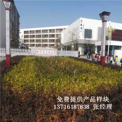 ���Ցь��ǹ�С���@����^�w����ľ�ذ尸����